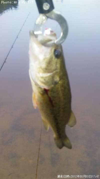 �֥�å��Х�