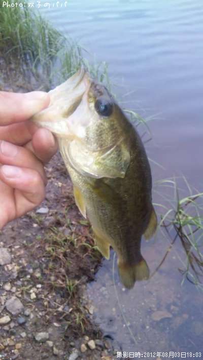 �֥�å��Х�