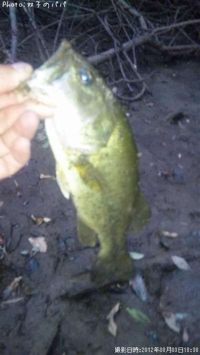 �֥�å��Х�