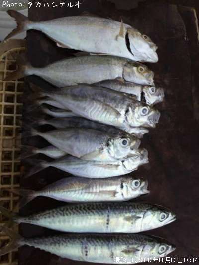 ���祴������������