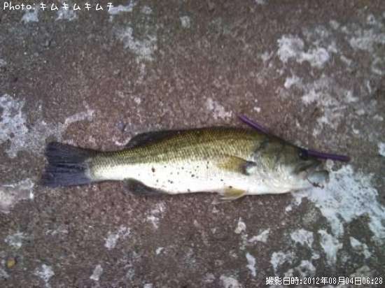 �֥�å��Х�