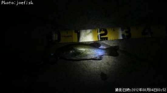 �֥�å��Х�