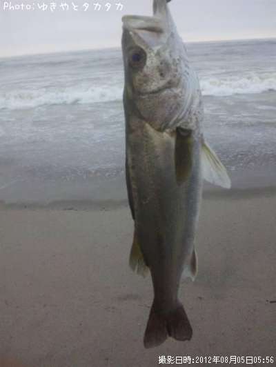 �����Х�