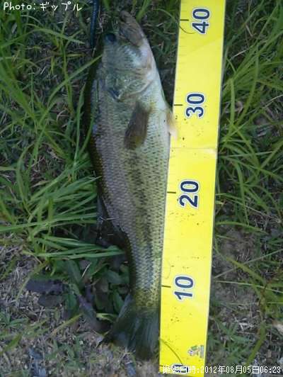 �֥�å��Х�