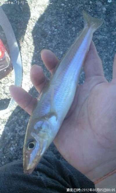 �ѡ���ԥ󥯤ε��ؿ�