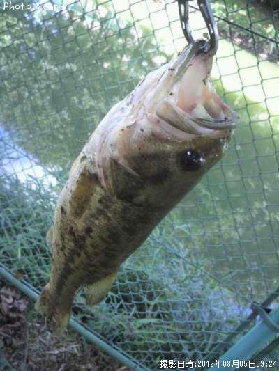 �֥�å��Х�