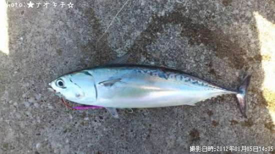 ���������ĥ�