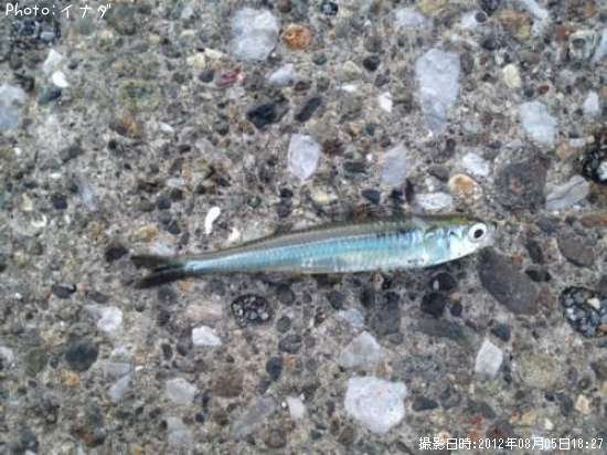 �Ȥ���������