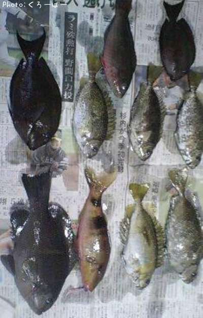 �������