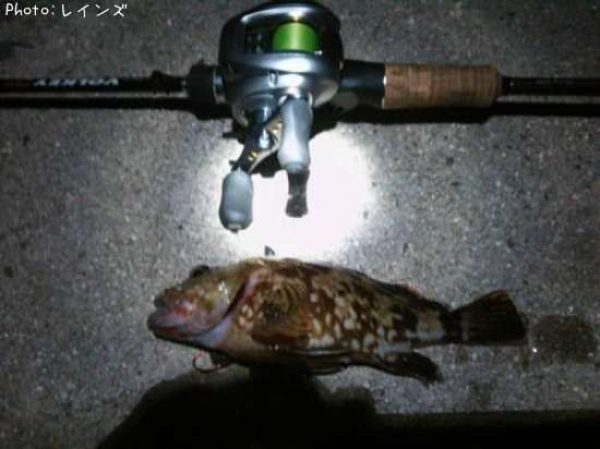 ����������������