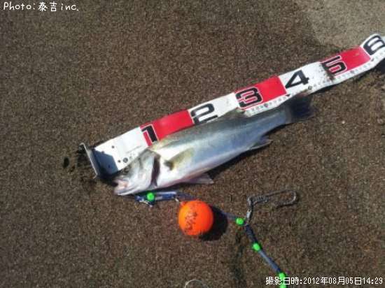 �����Х�