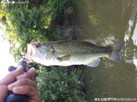 �֥�å��Х�