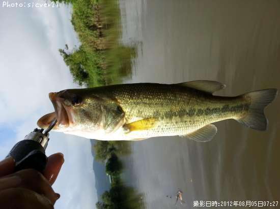 �֥�å��Х�