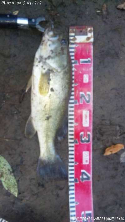 �֥�å��Х�