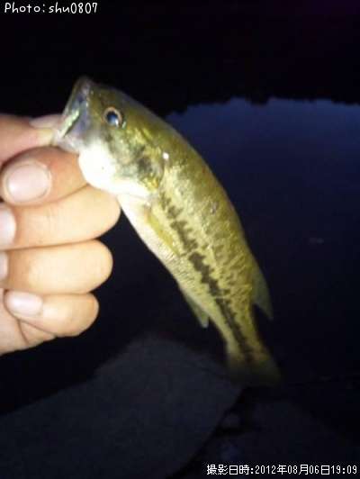 �֥�å��Х�