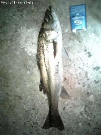 �ӣ��£���