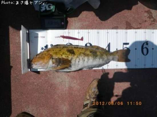 �����ʥ�