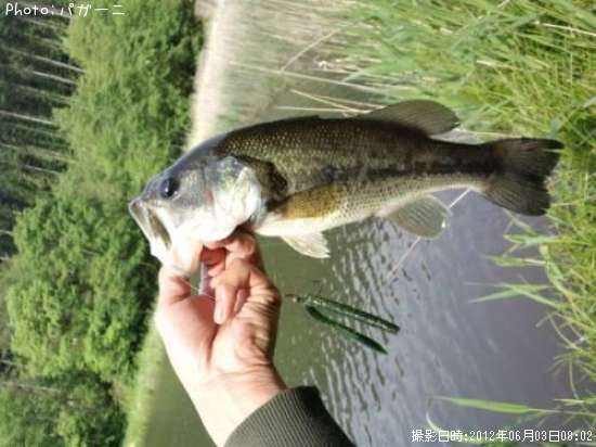 �֥�å��Х�