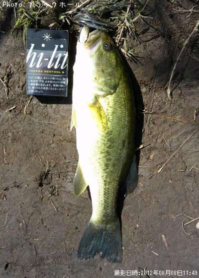 �֥�å��Х�