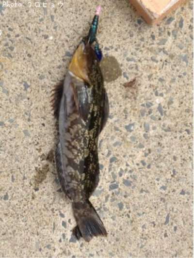 �����ʥ�