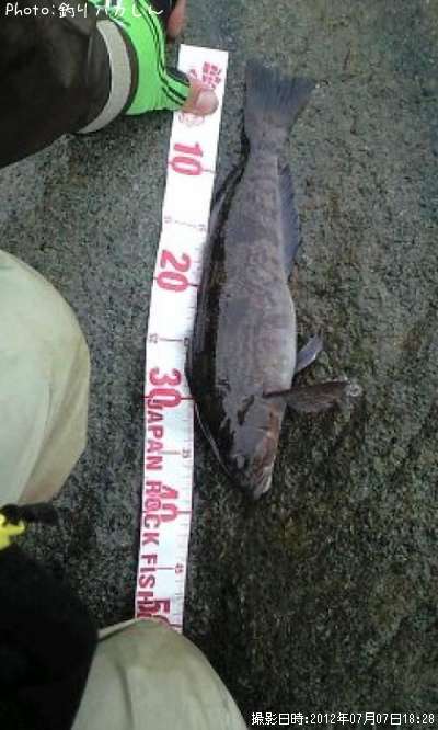 �����ʥ�