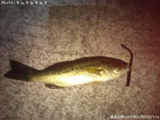 �֥�å��Х�