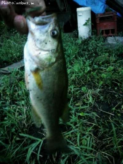 �֥�å��Х�