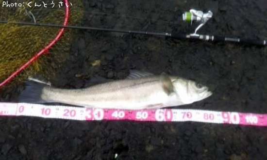 �����Х�