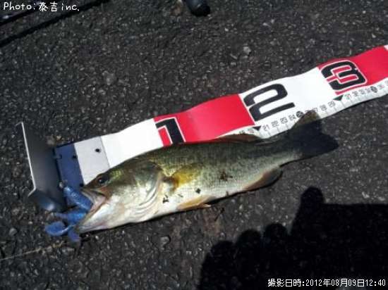 �֥�å��Х�