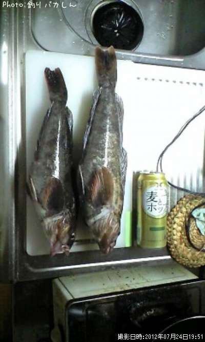 �����ʥ�