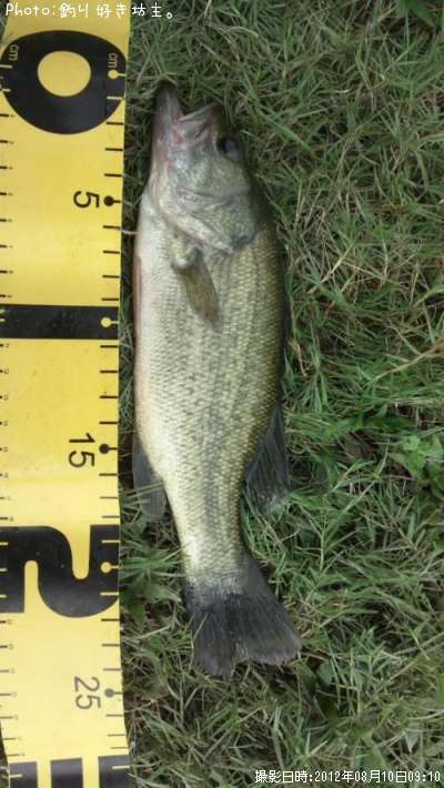 �֥�å��Х�