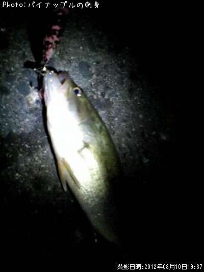 �֥�å��Х�