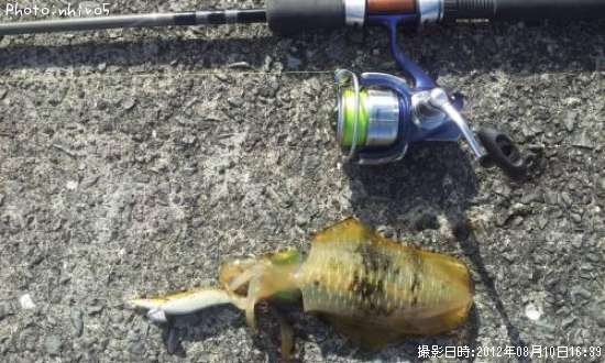 �����ꥤ��