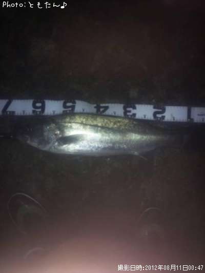 �����Х�