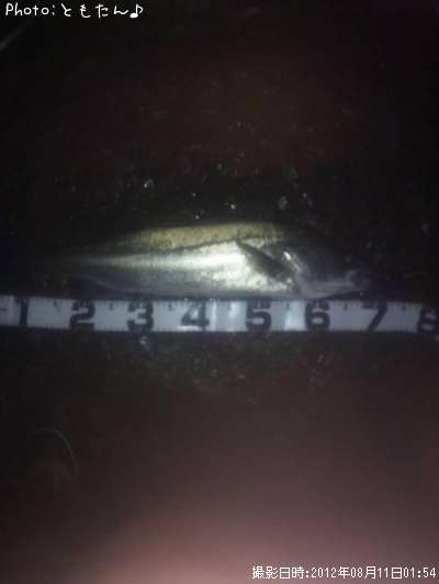 �����Х�