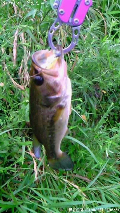 �֥�å��Х�