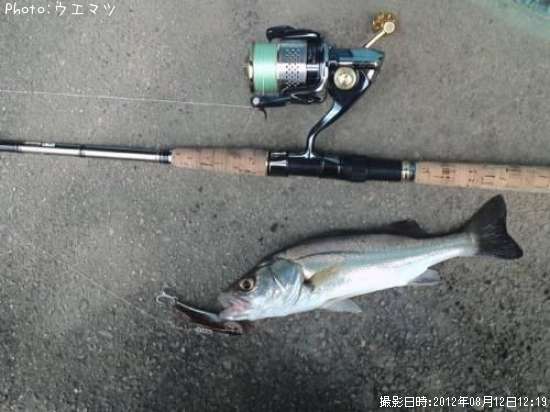 �����Х�