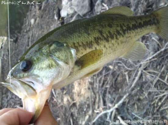 �֥�å��Х�