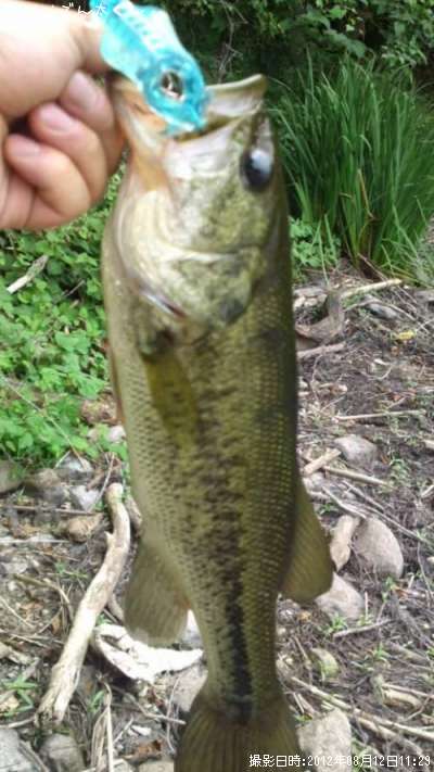 �֥�å��Х�