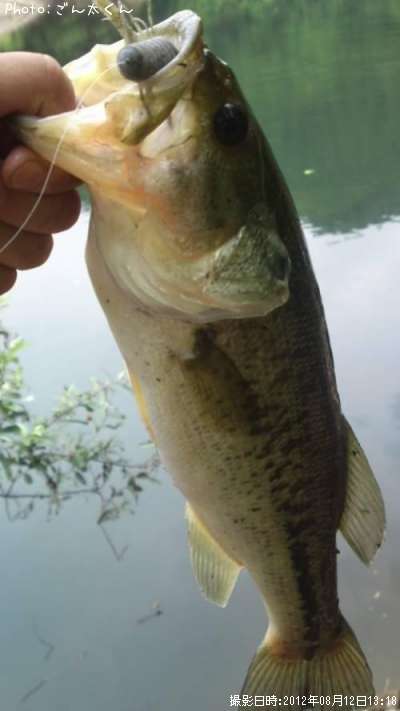 �֥�å��Х�