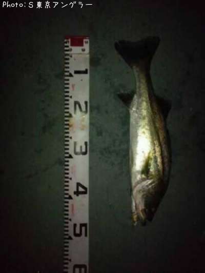 �����Х�