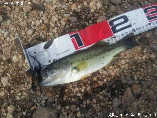 �֥�å��Х�