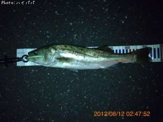 �����Х�