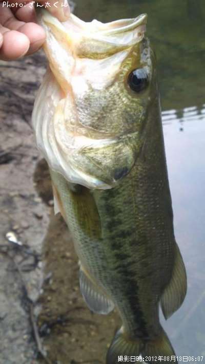 �֥�å��Х�