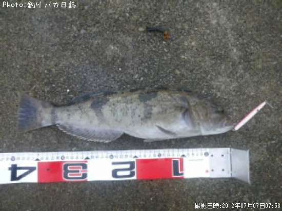 �����ʥ�