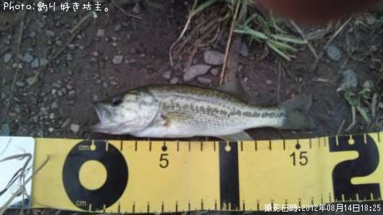 �֥�å��Х�