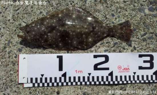 �����ʥҥ���