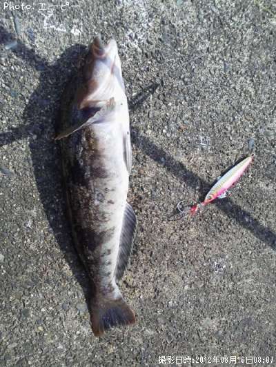 �����ʥ�