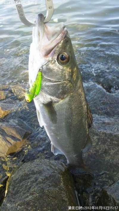 �����Х�