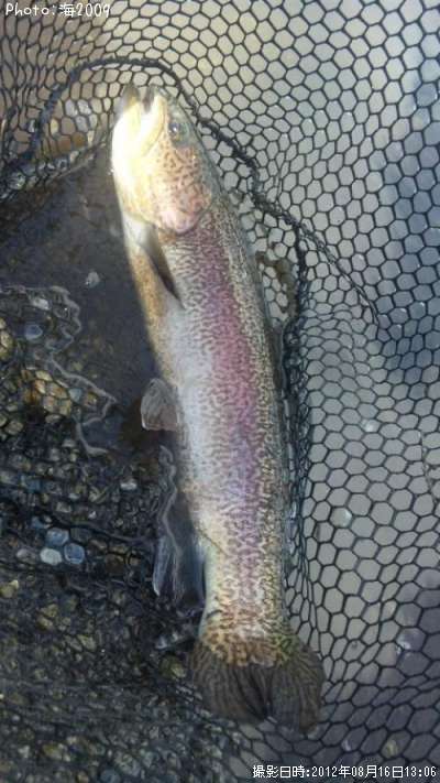 ���å��ȥ饦��